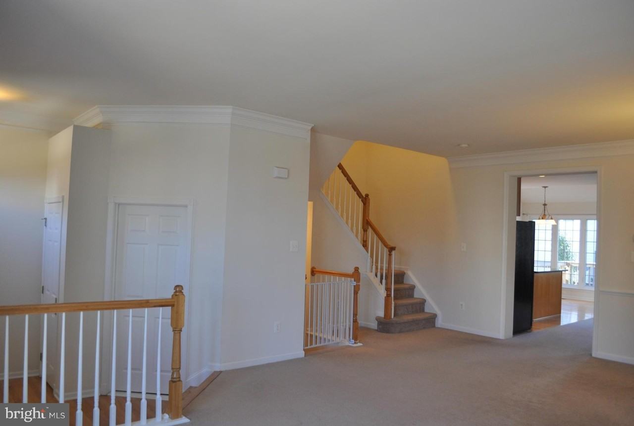 25249 Bald Eagle Ter - Photo 7 of 28