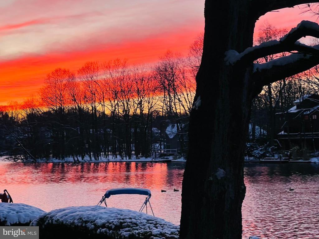 11292 Harbor Ct ##1292