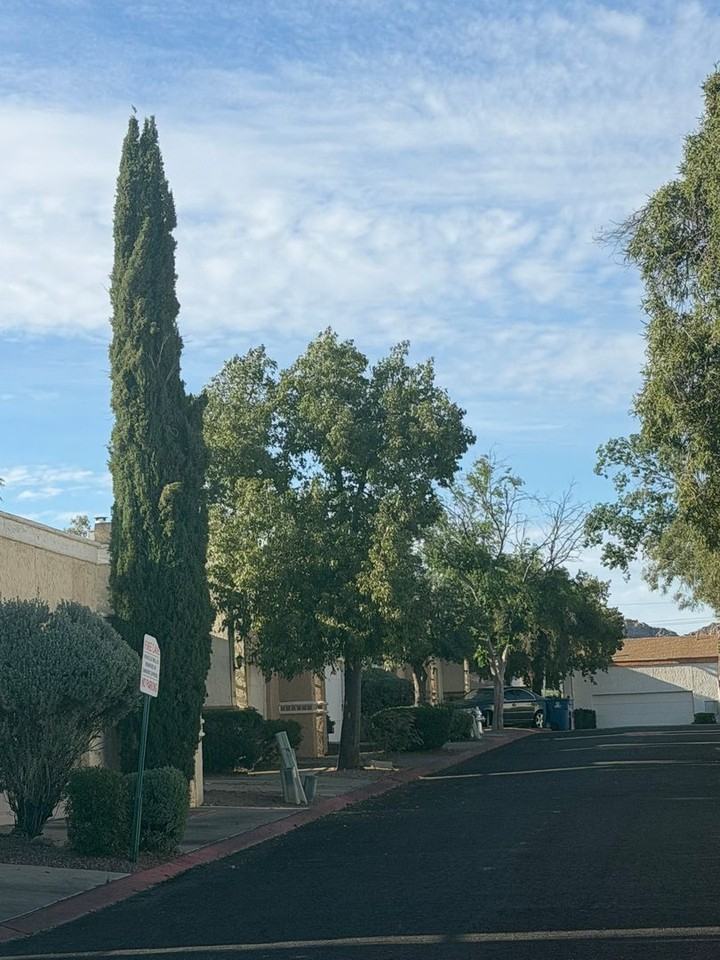 6978 S Placita De Amigos - Photo 3 of 29