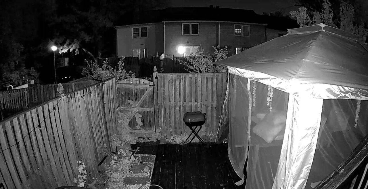 14818 Belle Ami Dr #1 - Photo 7 of 12