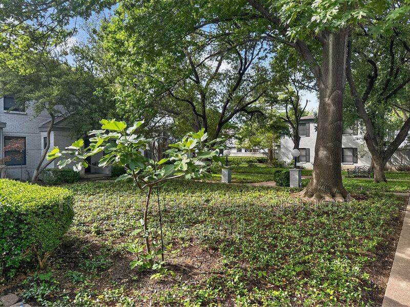 4944 N Hall St - Photo 2 of 23