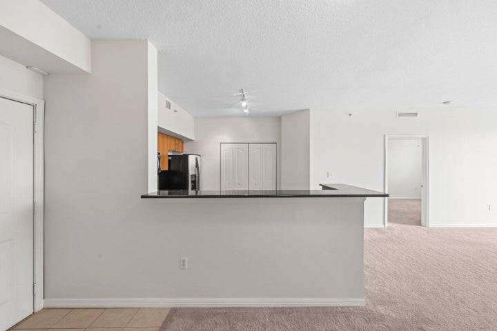 255 Northeast 3rd Avenue #407 - Photo 7 of 11