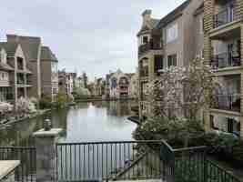 featured image of 5555 13a Ave #106