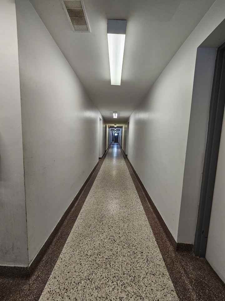 20 Cosburn Avenue - Photo 7 of 19