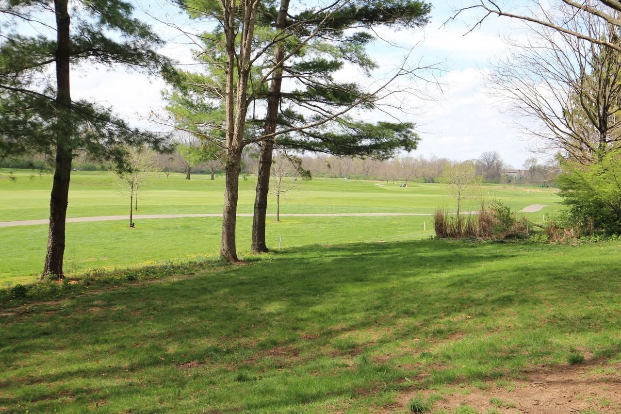 7769 Spyglass Hill Ct - Photo 6 of 50