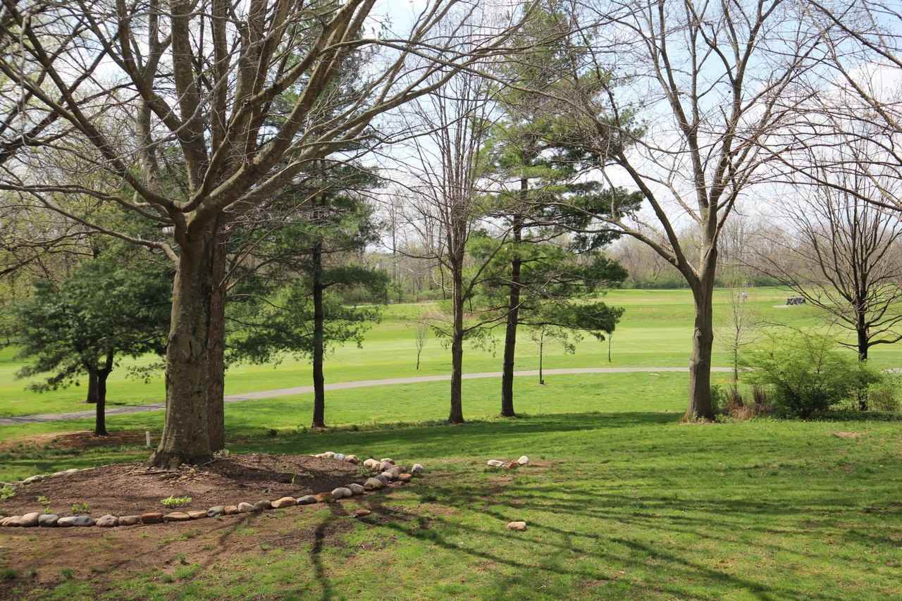 7769 Spyglass Hill Ct - Photo 7 of 50