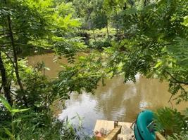 featured image of 171 Cullasaja Cir