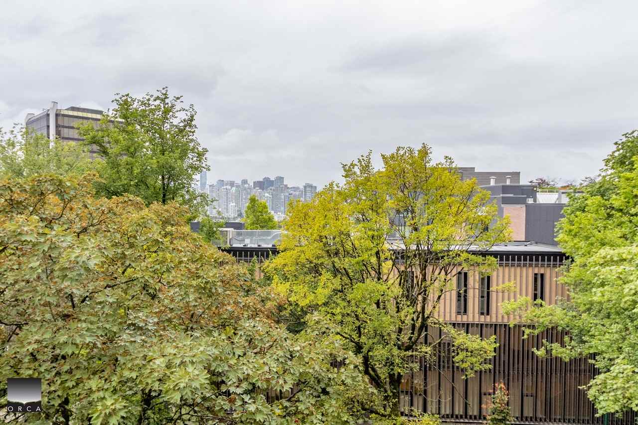 2628 Apartment Building - Photo 6 of 26