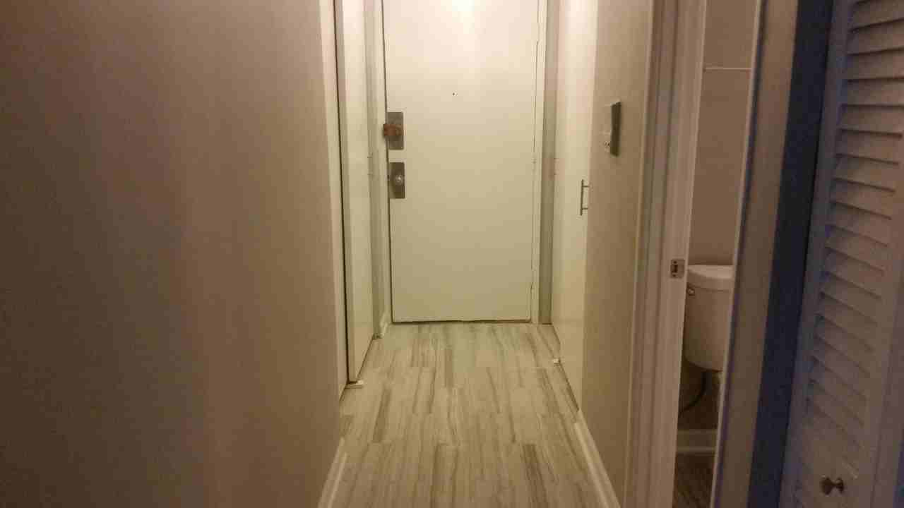 2405 W Balmoral - Photo 5 of 10