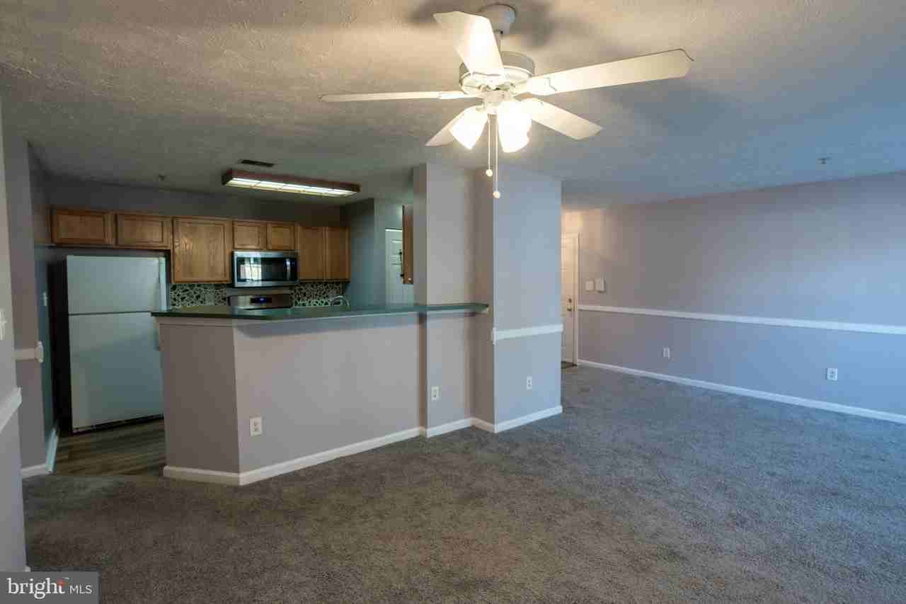 701 Harvest Run Dr Apt 101 - Photo 6 of 25