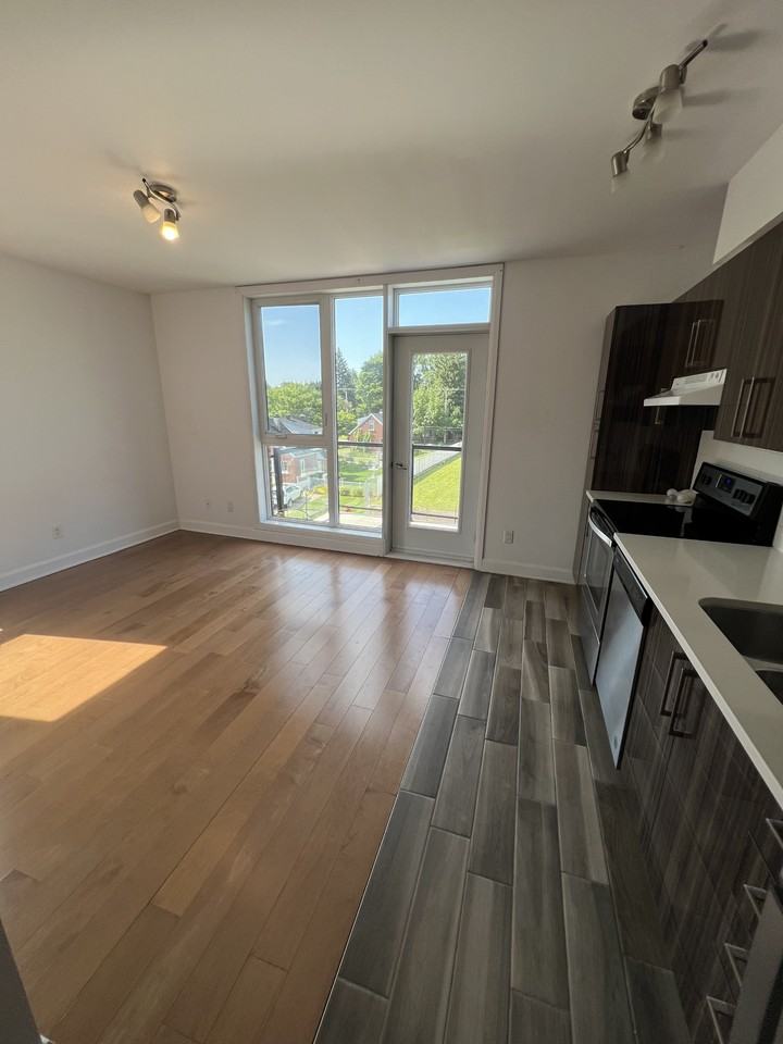 7070 Ch De La Côte-Saint-Luc — photo 3