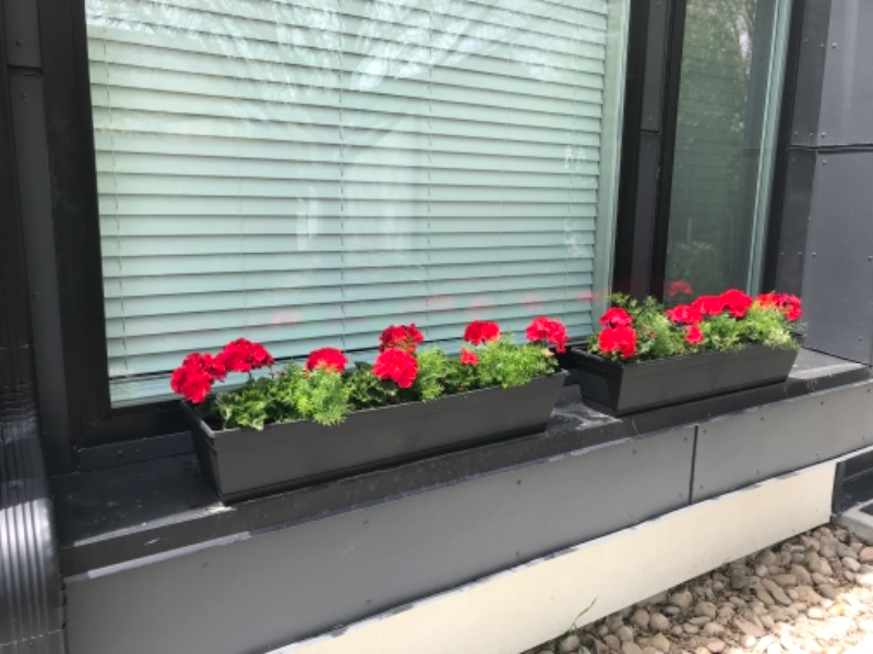 825 Crisman Dr #111 - Photo 7 of 41