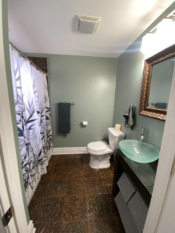 6309 N Albany Ave #2A - Photo 6 of 13