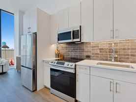 1040 W Adams St #710 - Photo 1 of 1