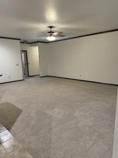 313 N Shannon Way - Photo 4 of 14