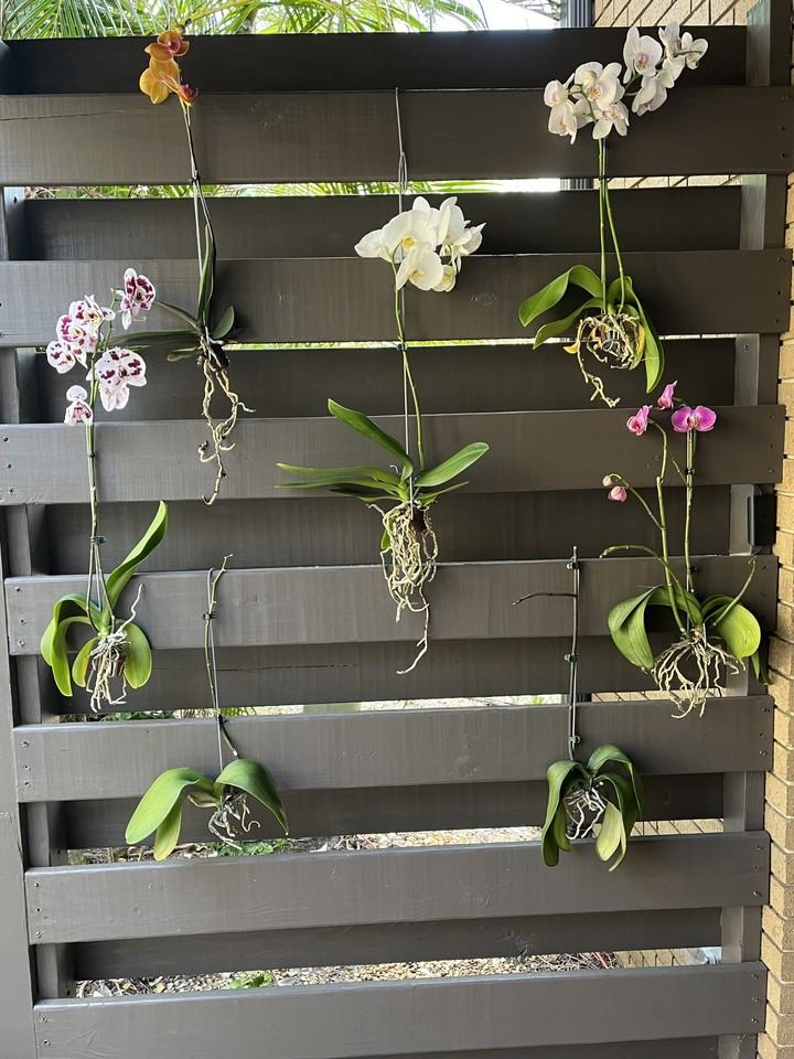 19B Sandy Cove Rd #19B - Photo 2 of 17