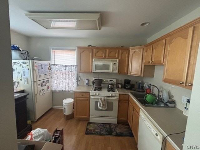 1012 Cadillac St - Photo 3 of 6