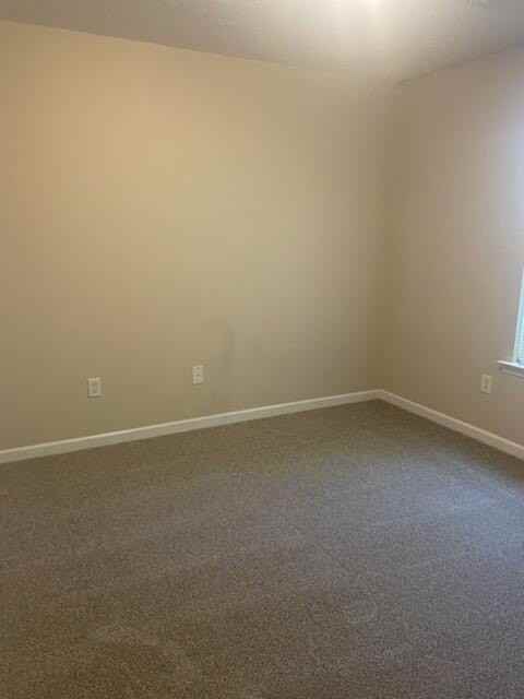 1145 Bison Way - Photo 7 of 19