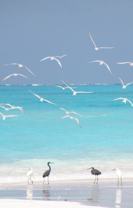 55 Sea Park Blvd #214 - Photo 1 of 1