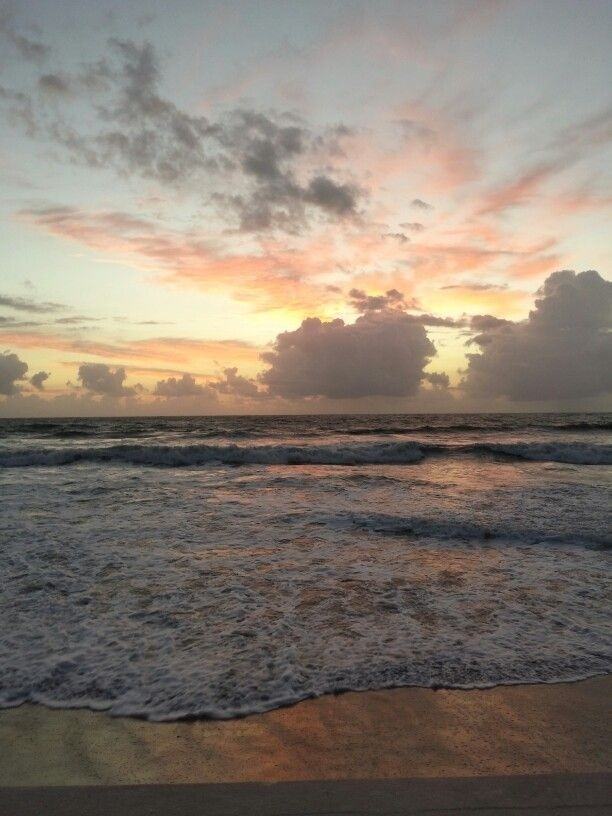 55 Sea Park Blvd #214 - Photo 2 of 2