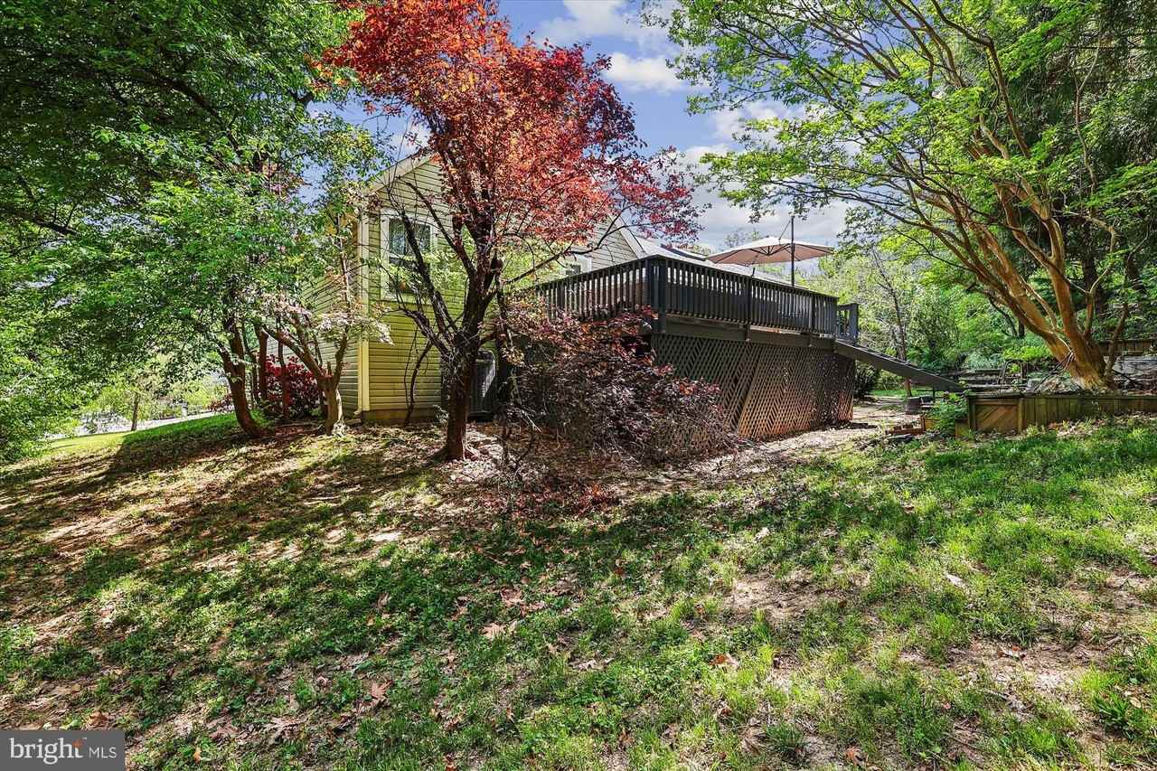 2904 Memory Ln - Photo 3 of 39