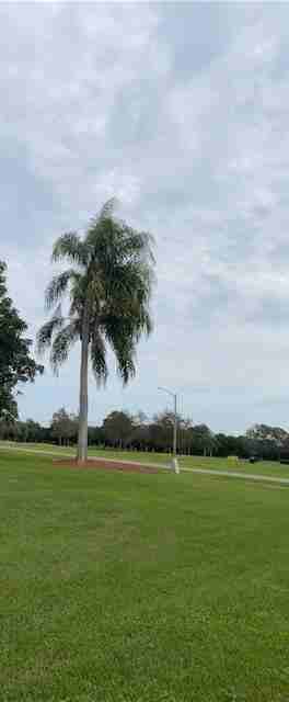 41 Buxton Ln - Photo 3 of 26