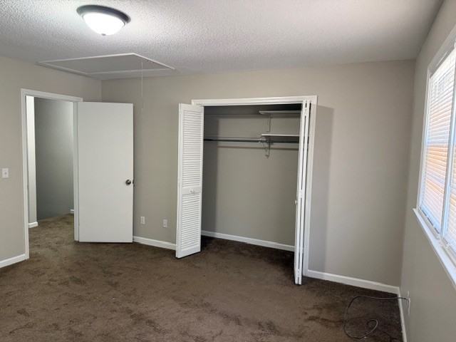 45B W Charlotte Ave #1 - Photo 7 of 10