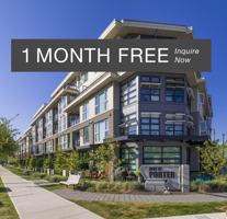 featured image of 1888 Victoria Divers