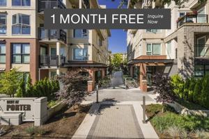 featured image of 1888 Victoria Divers