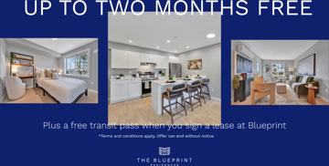 featured image of 15 Erskine Lane