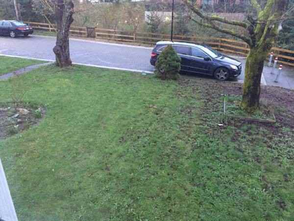 16th Ave & 16th St - Photo 2 of 11