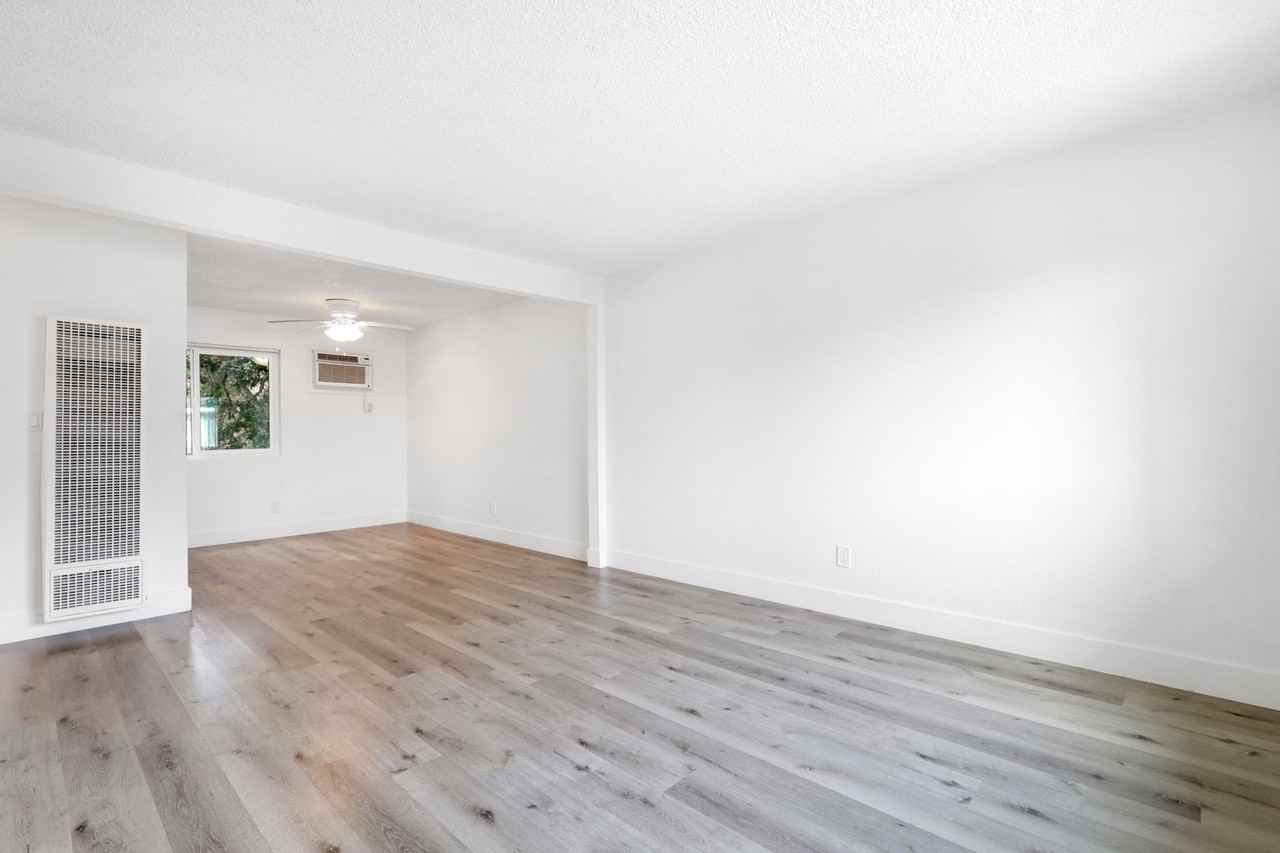 Vivleo - Photo 3 of 33