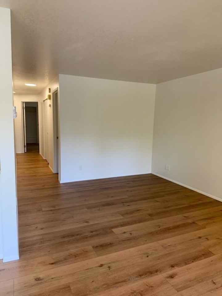 Viking Suites - Photo 4 of 16