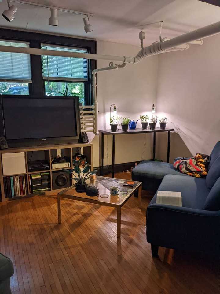 2871 Irving - Photo 3 of 24