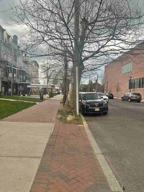 1075 E Jersey St - Photo 2 of 13