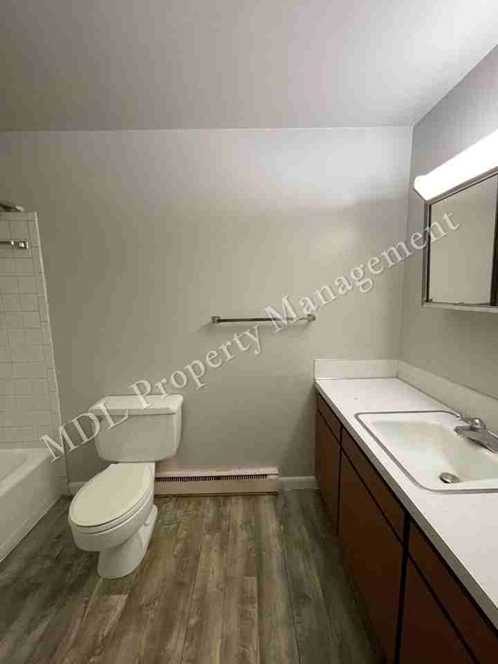 121 N Woodbridge - Photo 7 of 17