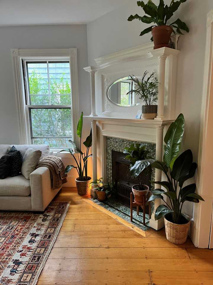 119 Antrim St #1 - Photo 3 of 34