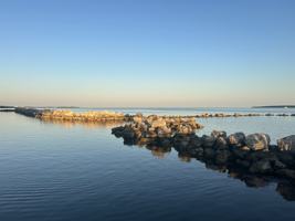 featured image of 320 Little Miss Muffett Ln #NA