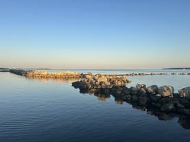 320 Little Miss Muffett Ln #NA - Photo 1 of 1