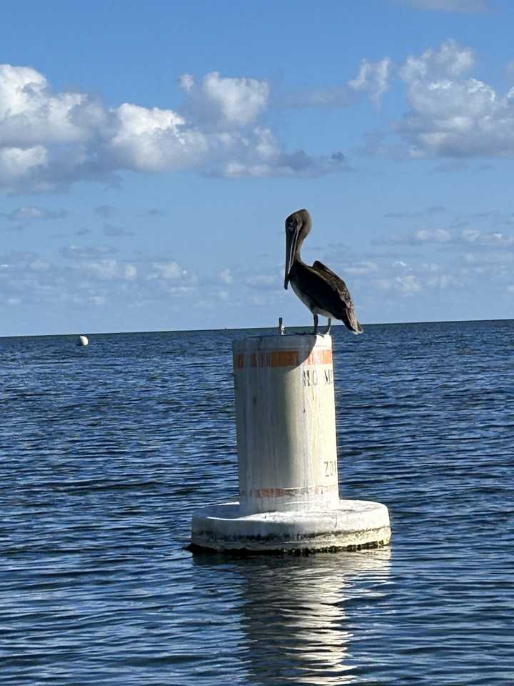 320 Little Miss Muffett Ln #NA - Photo 3 of 4