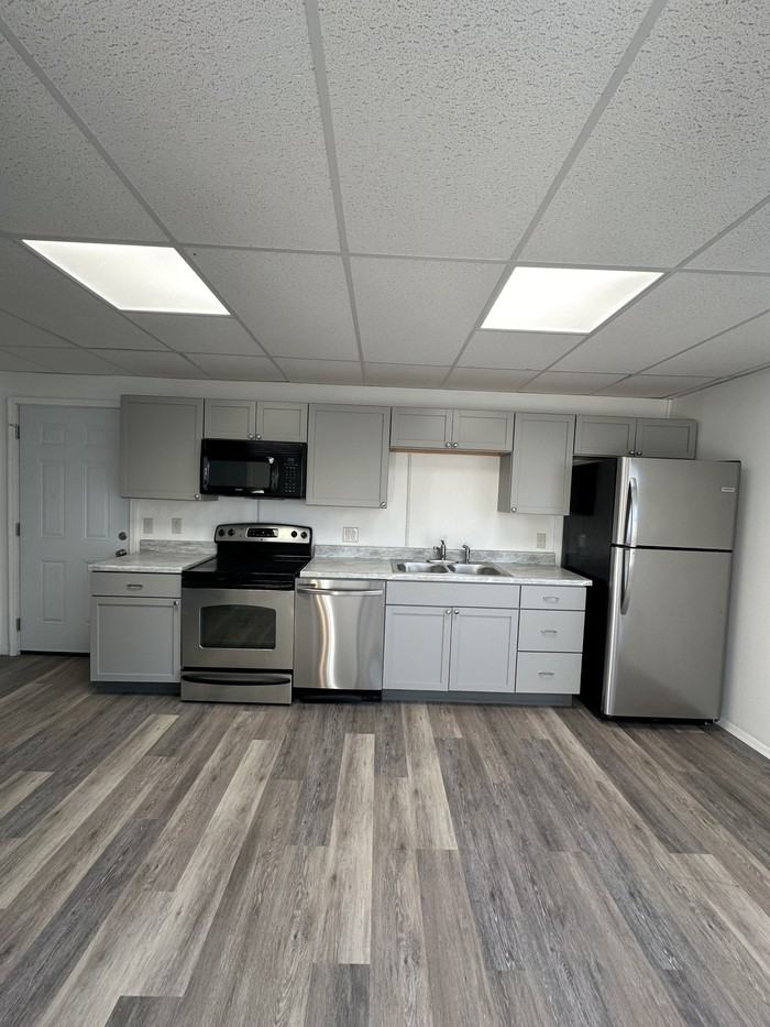 113 E Middle St #4 - Photo 3 of 13