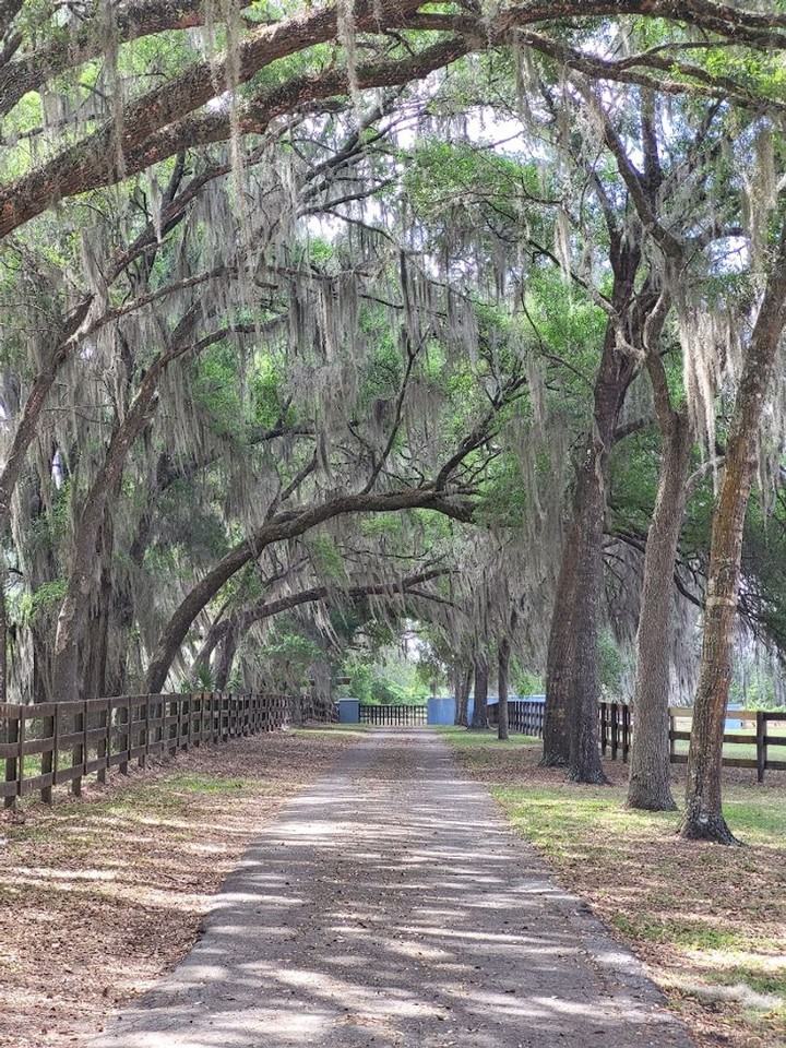 10325 Se 144th Pl - Photo 4 of 31