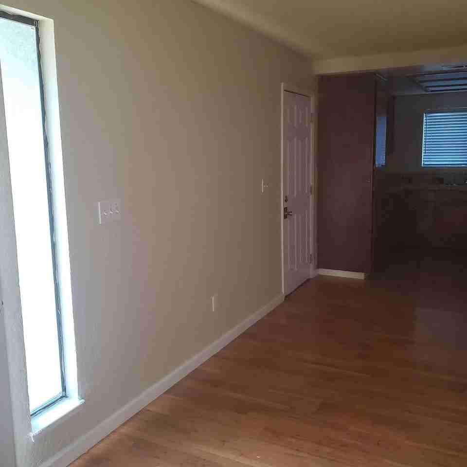 917 Panama Dr - Photo 3 of 22