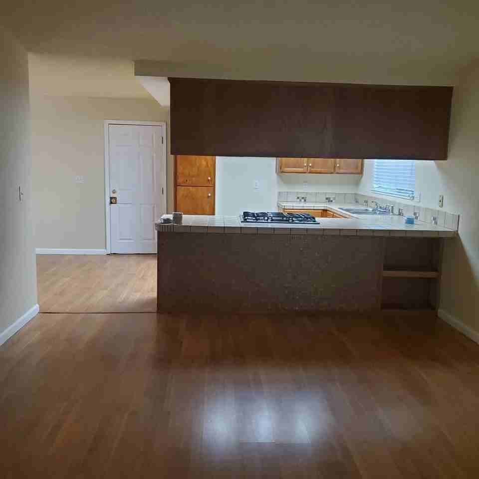 917 Panama Dr - Photo 7 of 22