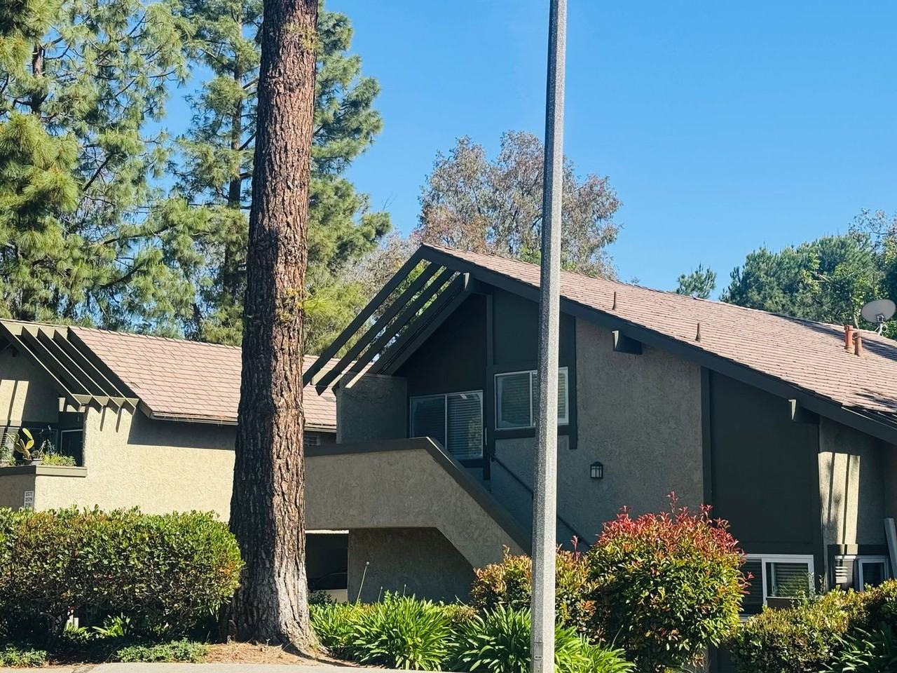 2591 La Paloma Cir - Photo 2 of 14