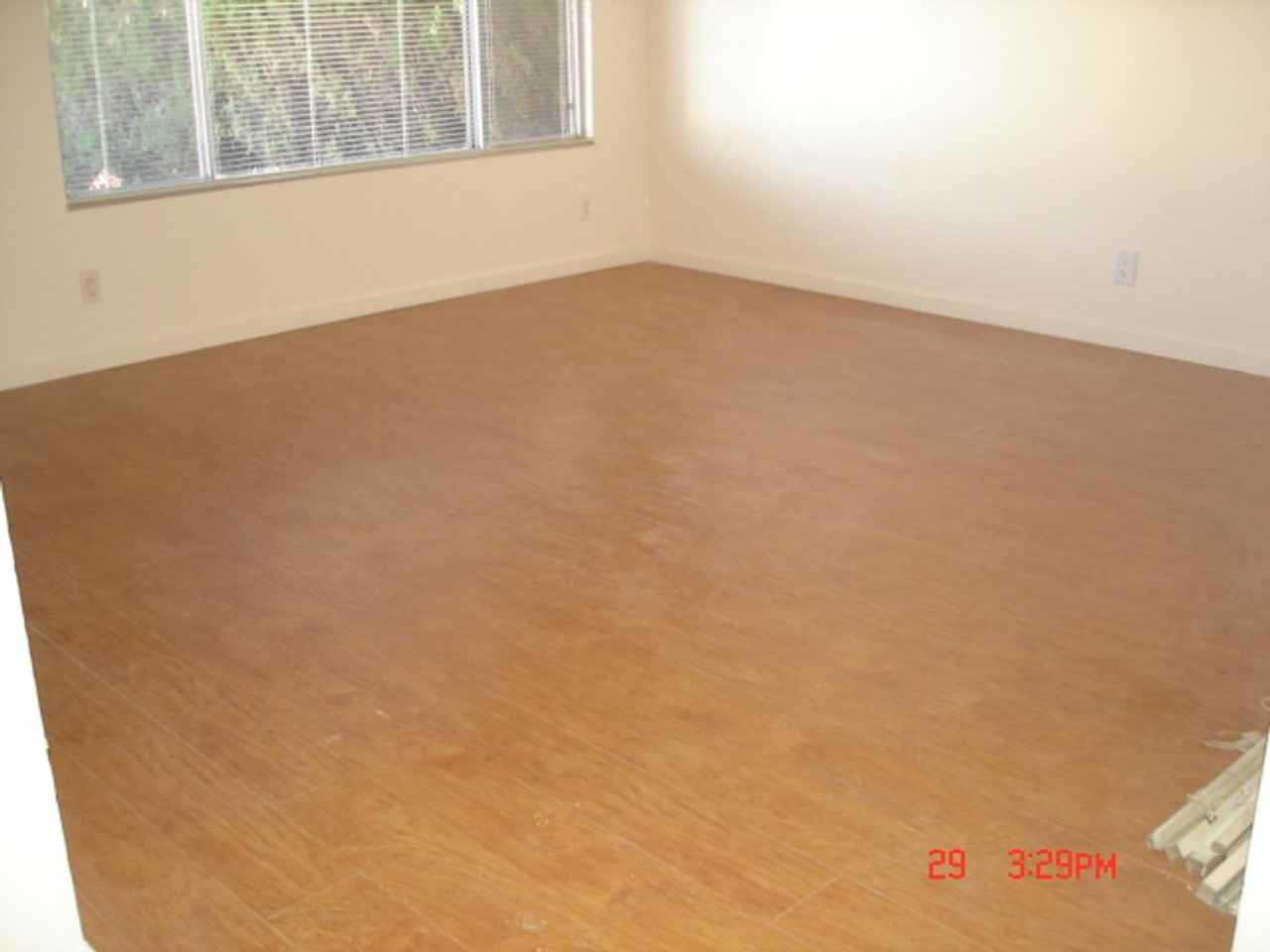 249 De Soto Dr - Photo 4 of 11