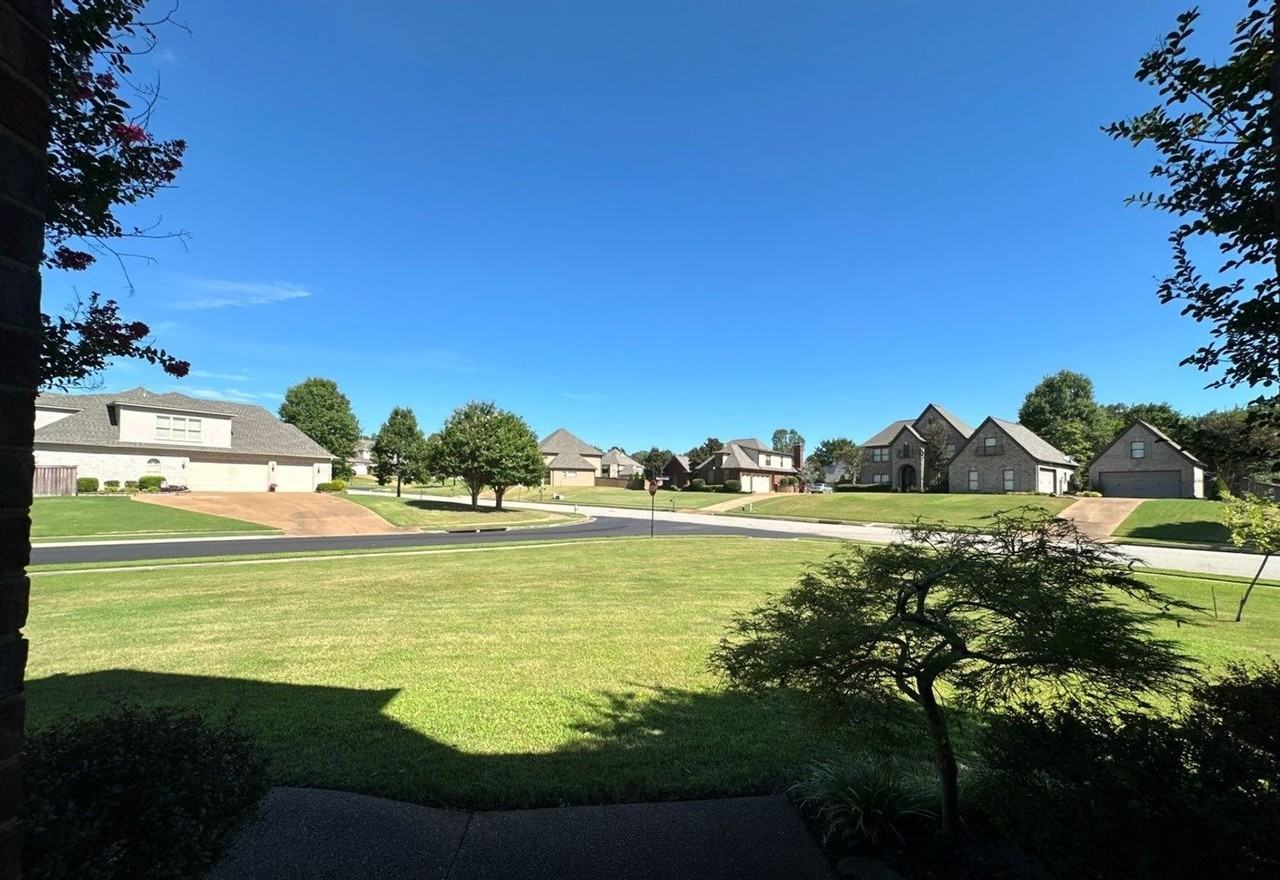 10135 Ridgewood Oak Dr - Photo 5 of 39