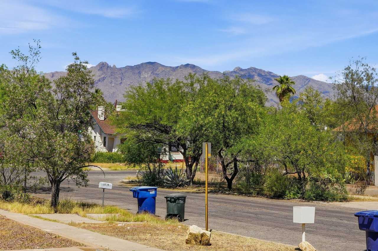 1227 N 1st Ave - Photo 2 of 28