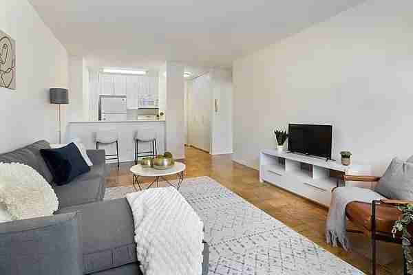 W 55th St #10E - Photo 2 of 20