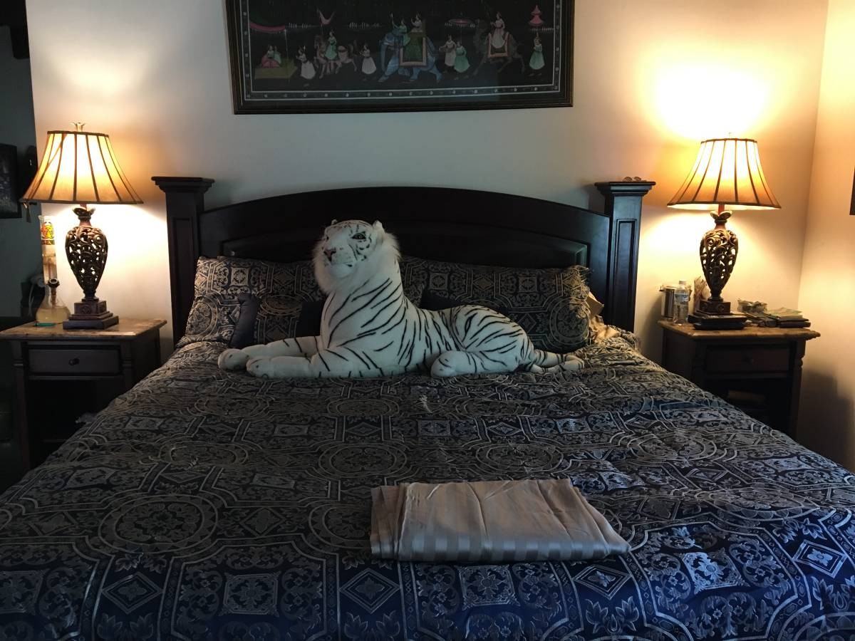 2366 Nichols Canyon Road - Photo 2 of 9